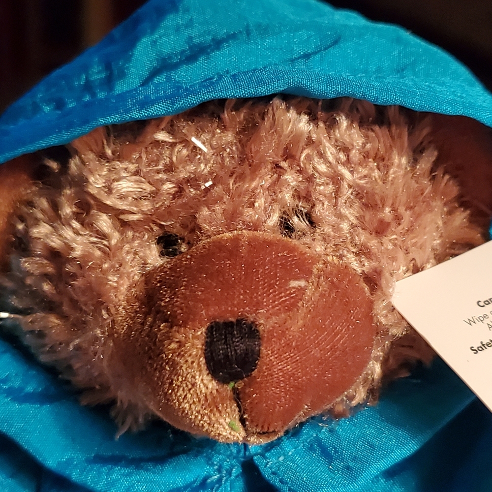 "SALE" NWT NiagaraFalls"Maid of the Mist" 10" Bear - Picture 2 of 6